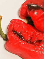 roasted red bell pepper