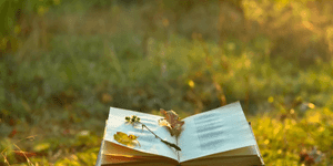 an open book with leaves and a flora on the pages with a background of grassy field
