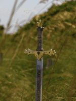 a sword