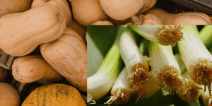 butternut-squash-with-leek-greens