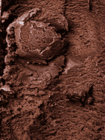 chocolate ice cream